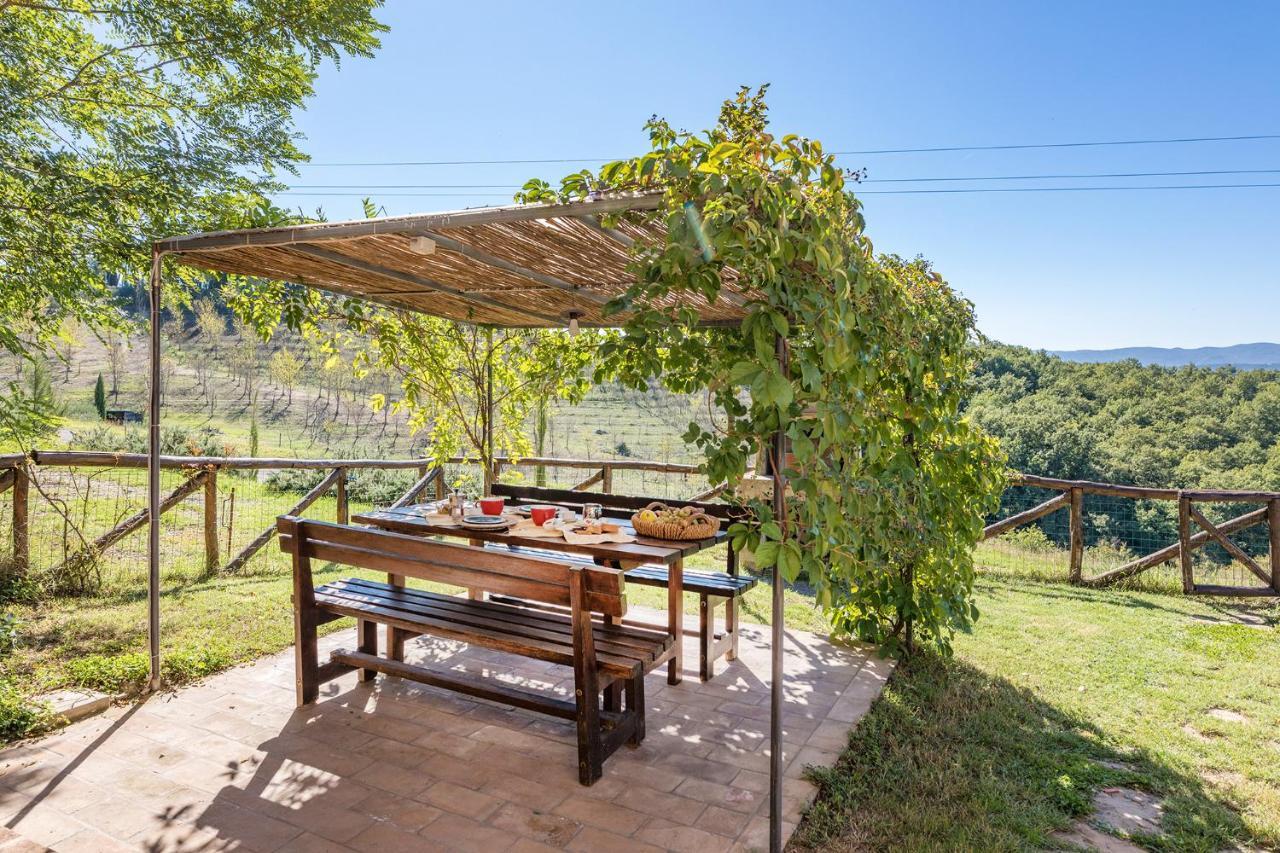 Podere Albereto 博恩孔文托 外观 照片